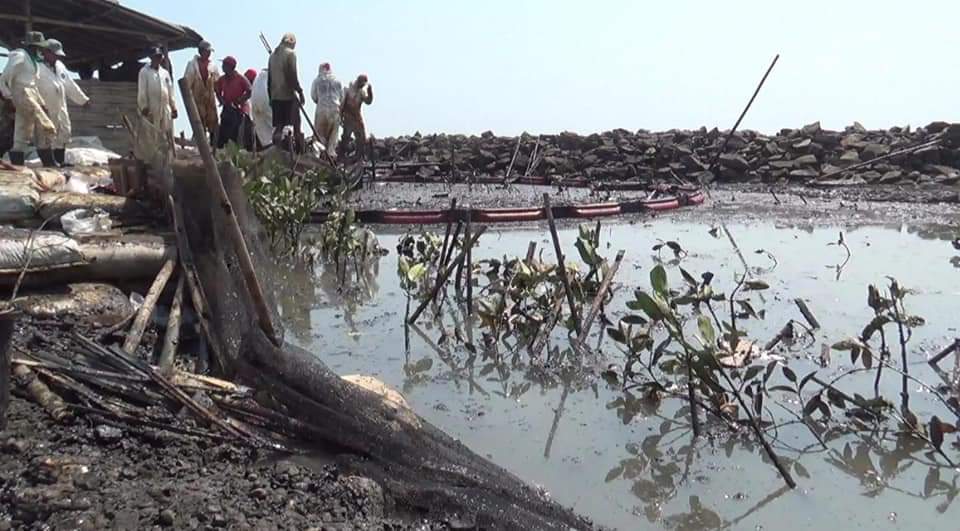 Petaka Limbah Pertamina : Giliran Mangrove Terancam – JabarNet